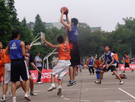 应新